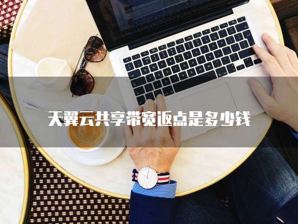 天翼云共享带宽返点是多少钱