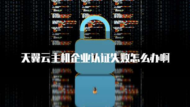 天翼云主机企业认证失败怎么办啊