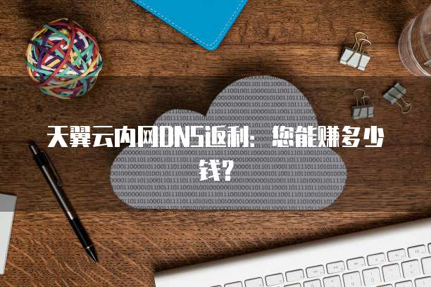 天翼云内网DNS返利:您能赚多少钱?