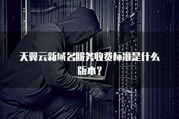 天翼云新域名服务收费标准是什么版本?