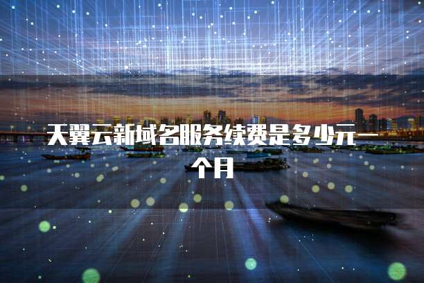 天翼云新域名服务续费是多少元一个月