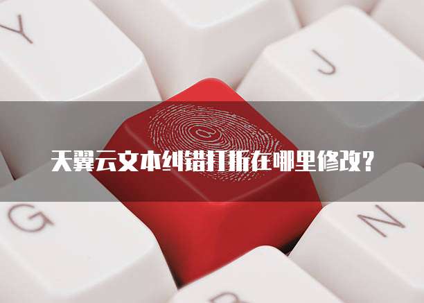 天翼云文本纠错打折在哪里修改?