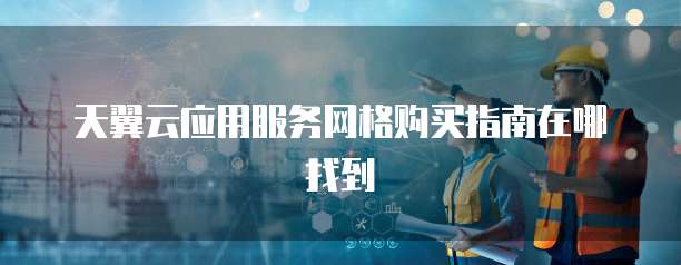 天翼云应用服务网格购买指南在哪找到