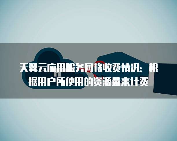 天翼云应用服务网格收费情况:根据用户所使用的资源量来计费