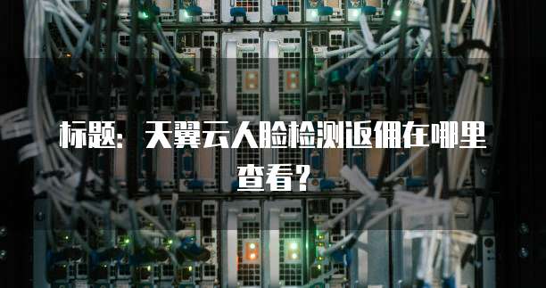 标题:天翼云人脸检测返佣在哪里查看?