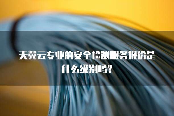 天翼云专业的安全检测服务报价是什么级别吗？