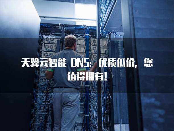 天翼云智能 DNS:优质低价,您值得拥有!