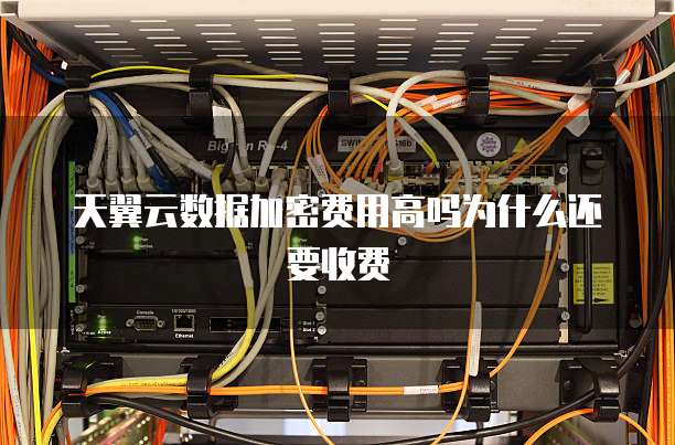 天翼云数据加密费用高吗为什么还要收费