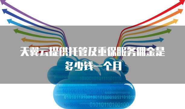 天翼云提供托管及重保服务佣金是多少钱一个月