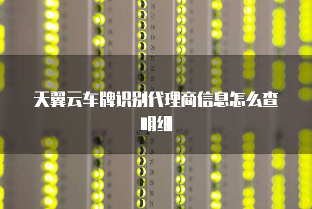 天翼云车牌识别代理商信息怎么查明细