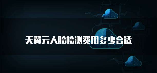 天翼云人脸检测费用多少合适