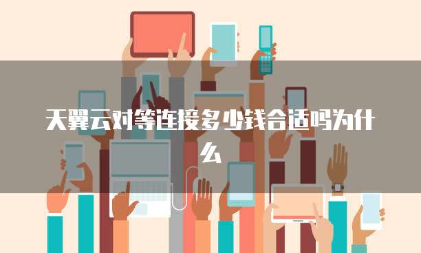 天翼云对等连接多少钱合适吗为什么