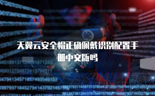 天翼云安全帽正确佩戴识别配置手册中文版吗