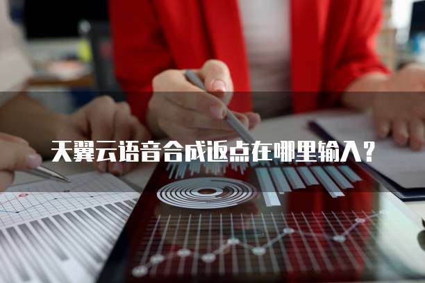天翼云语音合成返点在哪里输入?