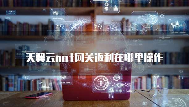 天翼云nat网关返利在哪里操作