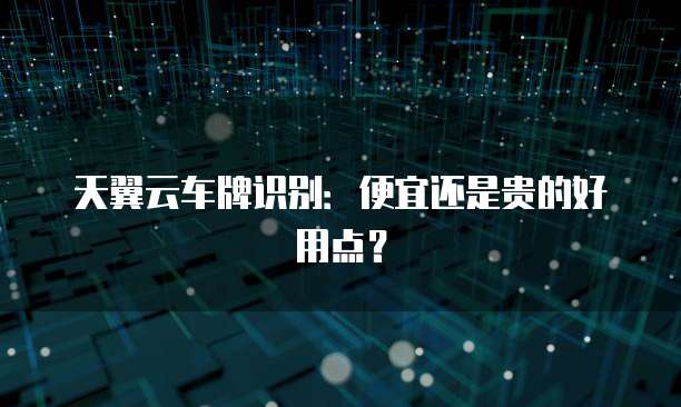天翼云车牌识别:便宜还是贵的好用点?