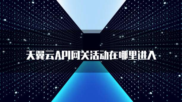 天翼云API网关活动在哪里进入