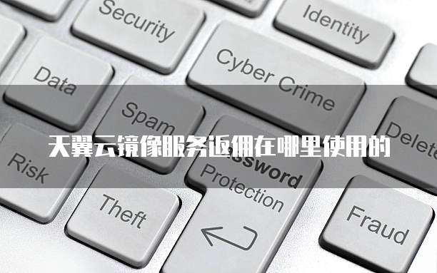 天翼云镜像服务返佣在哪里使用的