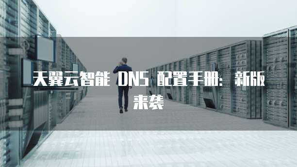 天翼云智能 DNS 配置手册:新版来袭