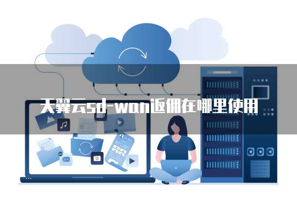 天翼云sd-wan返佣在哪里使用