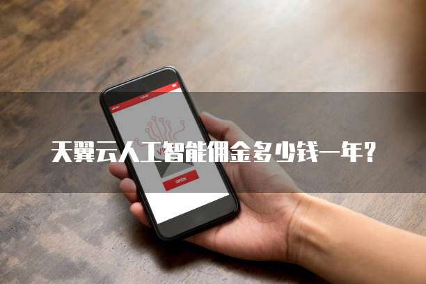 天翼云人工智能佣金多少钱一年？