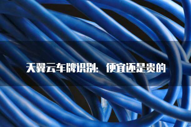 天翼云车牌识别:便宜还是贵的