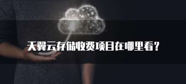 天翼云存储收费项目在哪里看?