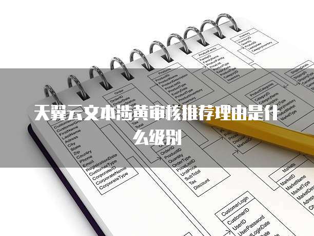 天翼云文本涉黄审核推荐理由是什么级别