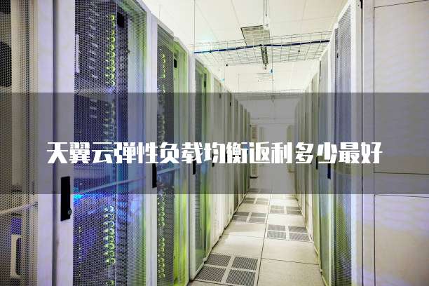 天翼云弹性负载均衡返利多少最好
