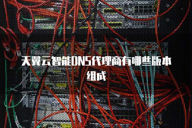 天翼云智能DNS代理商有哪些版本组成