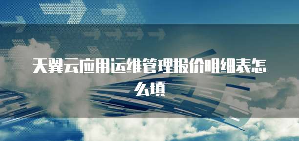 天翼云应用运维管理报价明细表怎么填