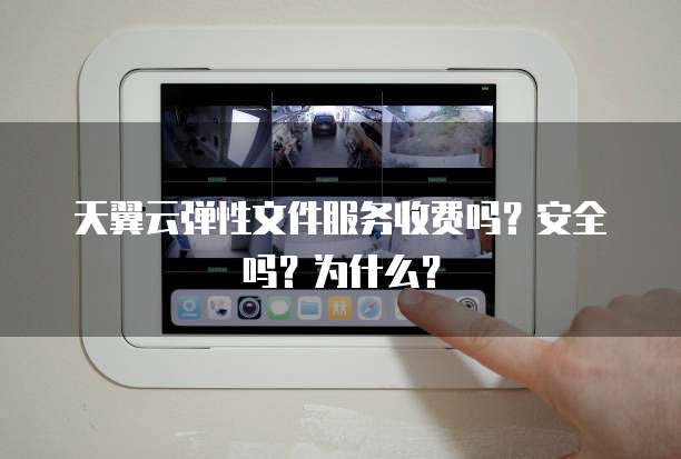 天翼云弹性文件服务收费吗？安全吗？为什么？