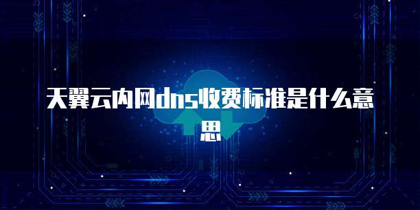 天翼云内网dns收费标准是什么意思