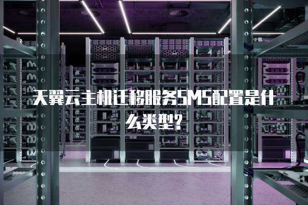 天翼云主机迁移服务SMS配置是什么类型?
