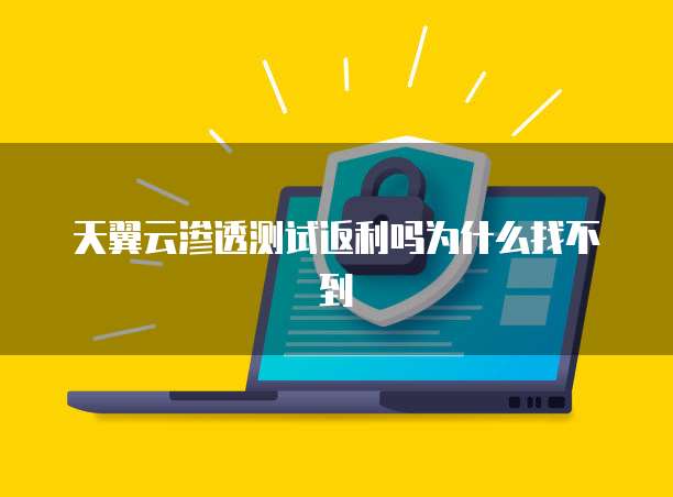 天翼云渗透测试返利吗为什么找不到