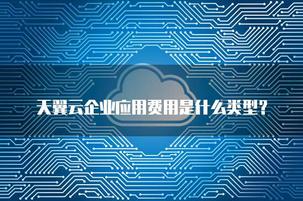 天翼云企业应用费用是什么类型？