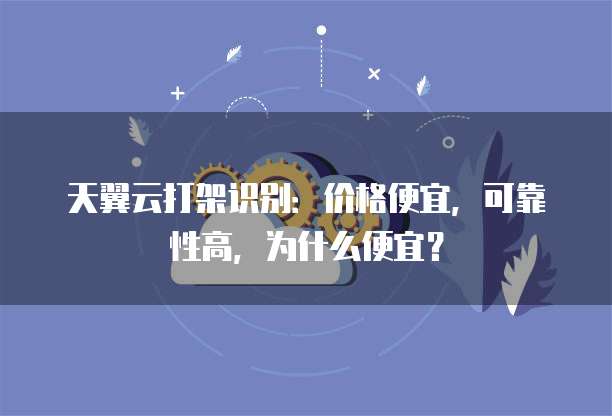 天翼云打架识别:价格便宜,可靠性高,为什么便宜?
