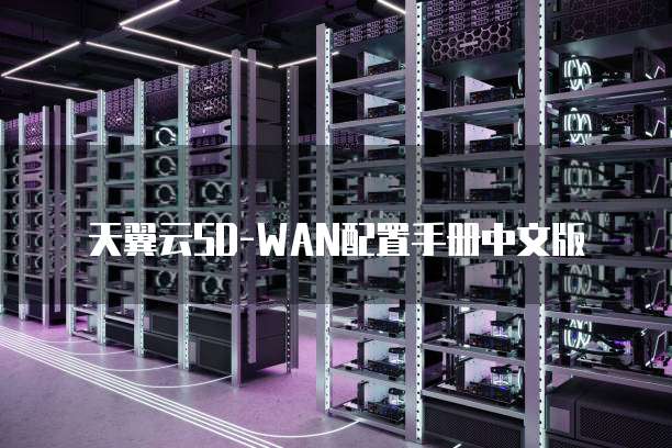 天翼云SD-WAN配置手册中文版