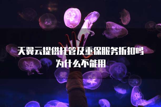 天翼云提供托管及重保服务折扣吗为什么不能用