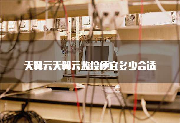 天翼云天翼云监控便宜多少合适