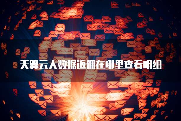 天翼云大数据返佣在哪里查看明细