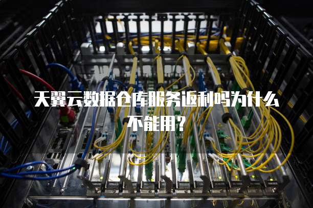 天翼云数据仓库服务返利吗为什么不能用?