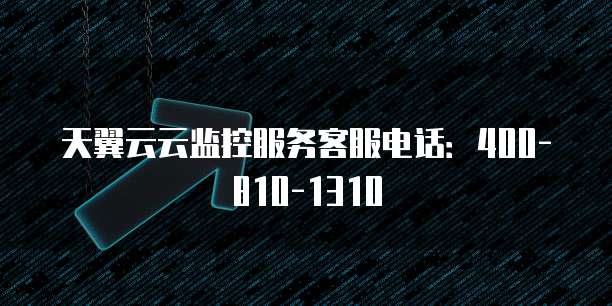 天翼云云监控服务客服电话:400-810-1310