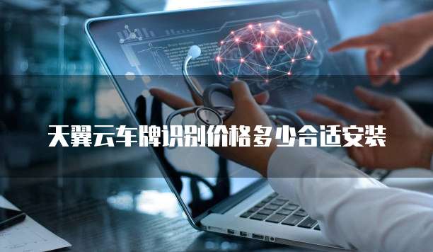 天翼云车牌识别价格多少合适安装