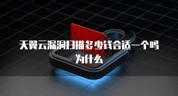 天翼云漏洞扫描多少钱合适一个吗为什么
