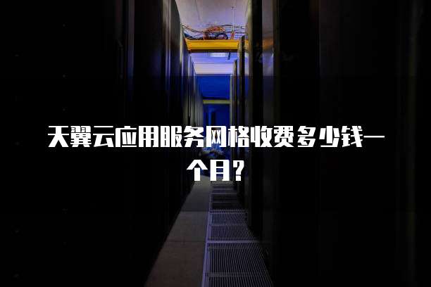 天翼云应用服务网格收费多少钱一个月?