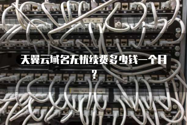 天翼云域名无忧续费多少钱一个月?