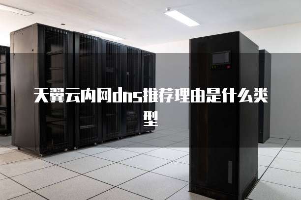 天翼云内网dns推荐理由是什么类型
