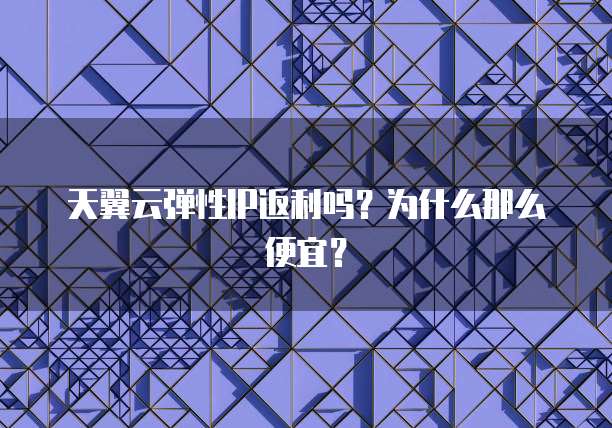 天翼云弹性IP返利吗?为什么那么便宜?