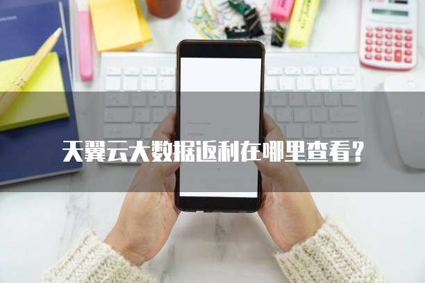 天翼云大数据返利在哪里查看?